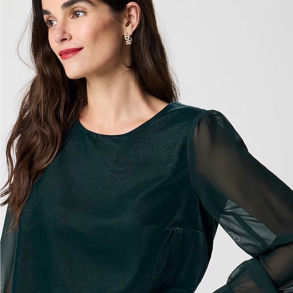 J. Crew NEW NWT Elegant Sheer Sleeve Green velvet blouse top shirt medium